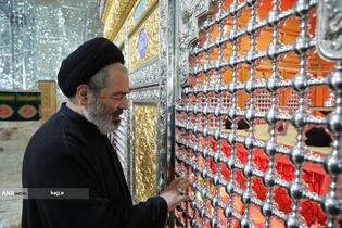 حضوردر مقبره شهیدحکیم