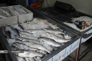 بازار روز تجریش