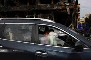 بازگشت مردم مقاوم به جنوب لبنان بعد از اعلام آتش بس 10 روزه