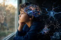 هورمون استرس چگونه یادگیری مغز را محدود می‌کند