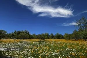 باغ گیاهشناسی ایران