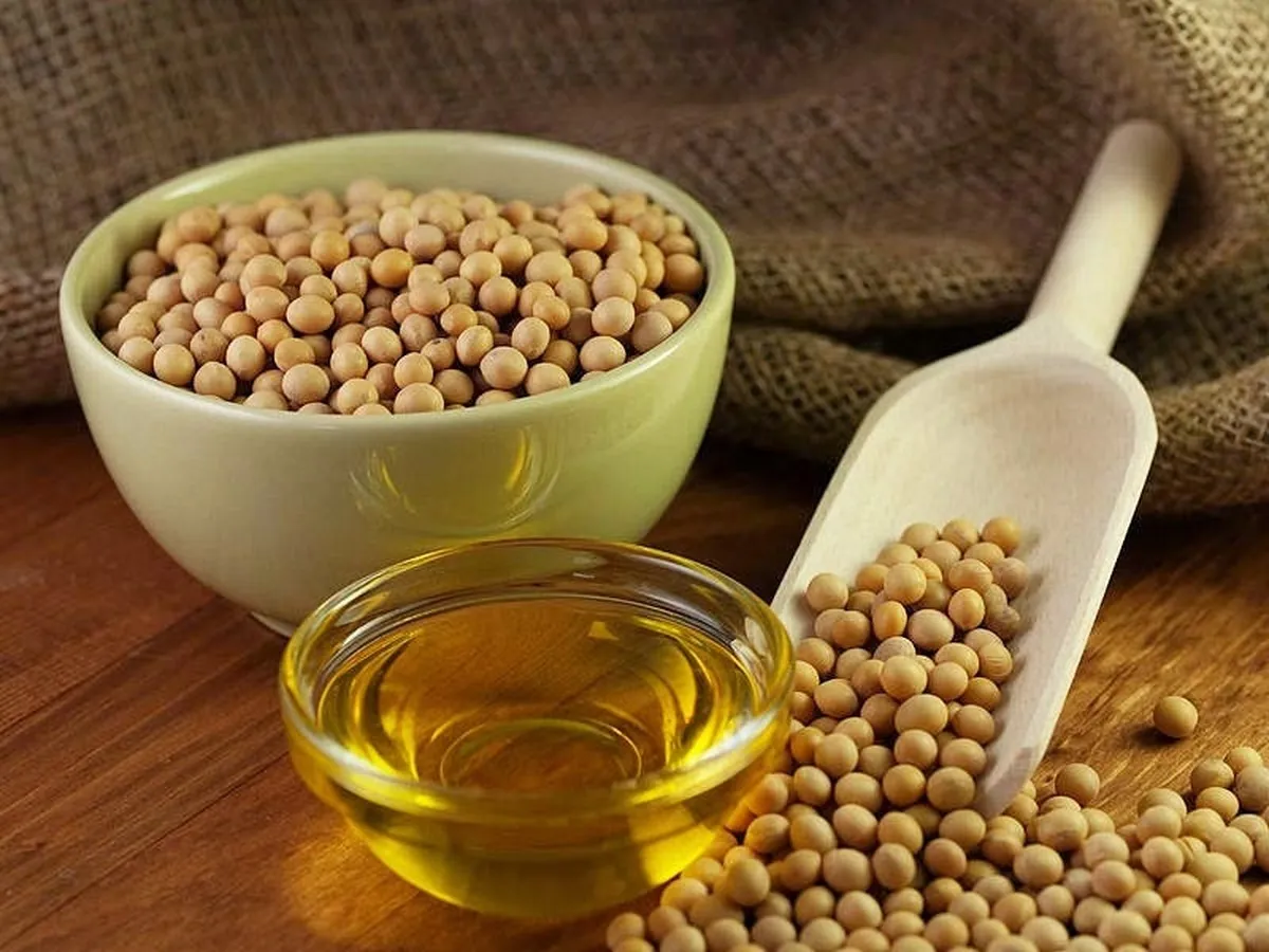 سویا گُرگرفتگی پساقاعدگی را کاهش می‌دهد
