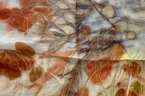 گوتنبرگ گیاهی