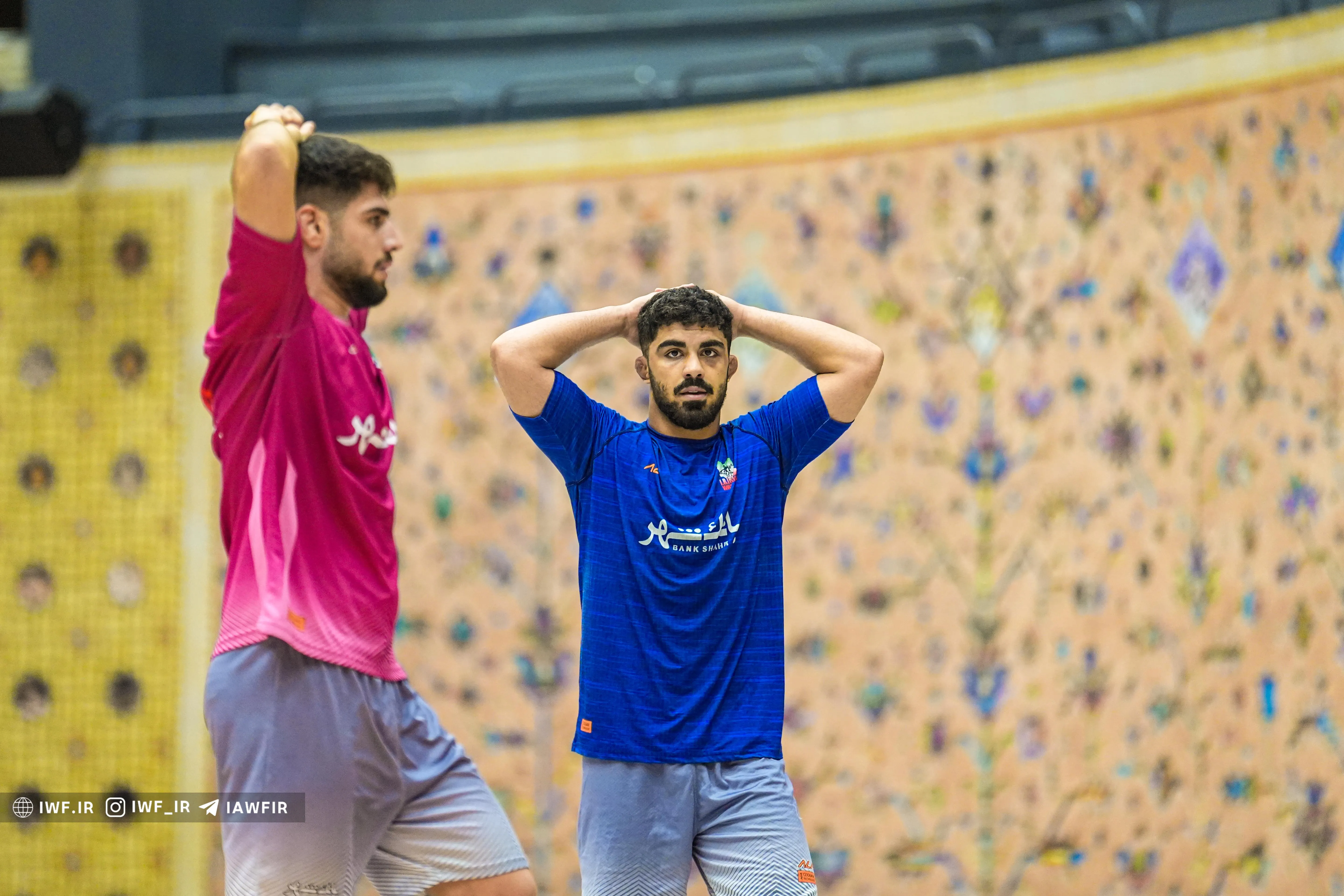 رضا افشار
