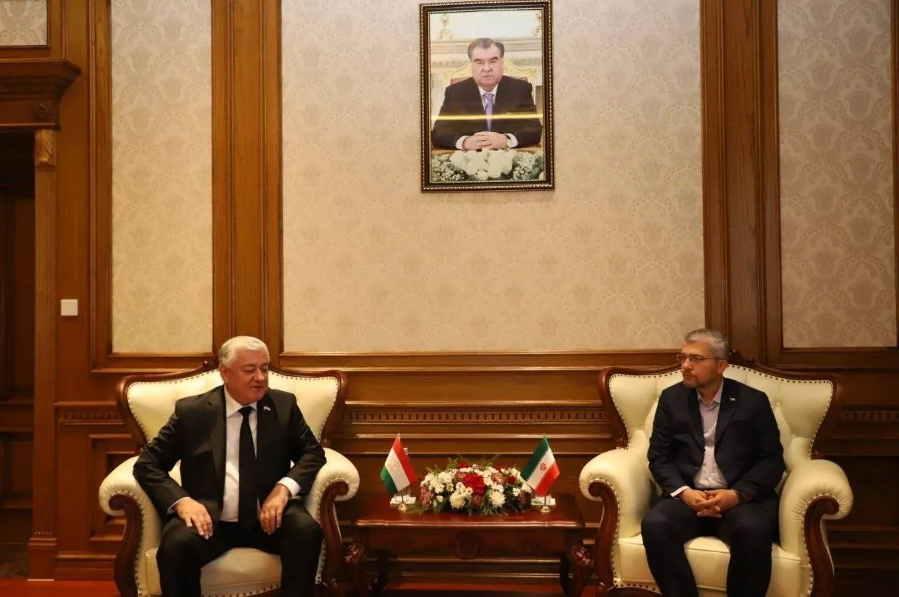 کمیسیون امنیت ملی