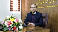 بررسی جامع ظرفیت زیست پزشکی نانوذرات وانادات آهن