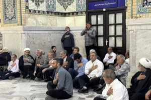 فعالیت خادمیاران و یاوران رضوی منطقه دارالمومنین تهران 