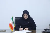 مهاجرانی:تصویب آیین‌نامه حمایت از بازگشت نخبگان خارج از کشور در هیات دولت