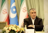 Iran Can Maintain Deterrence Without Nuclear Weapons, Says Atomic Energy Chief