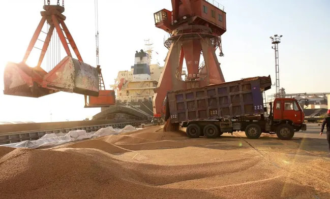 بدهی ۱.۸ میلیارد یوروریی دولت به واردکنندگان نهاده؛ افت ۴۰درصدی واردات کنجاله و جهش ارزی