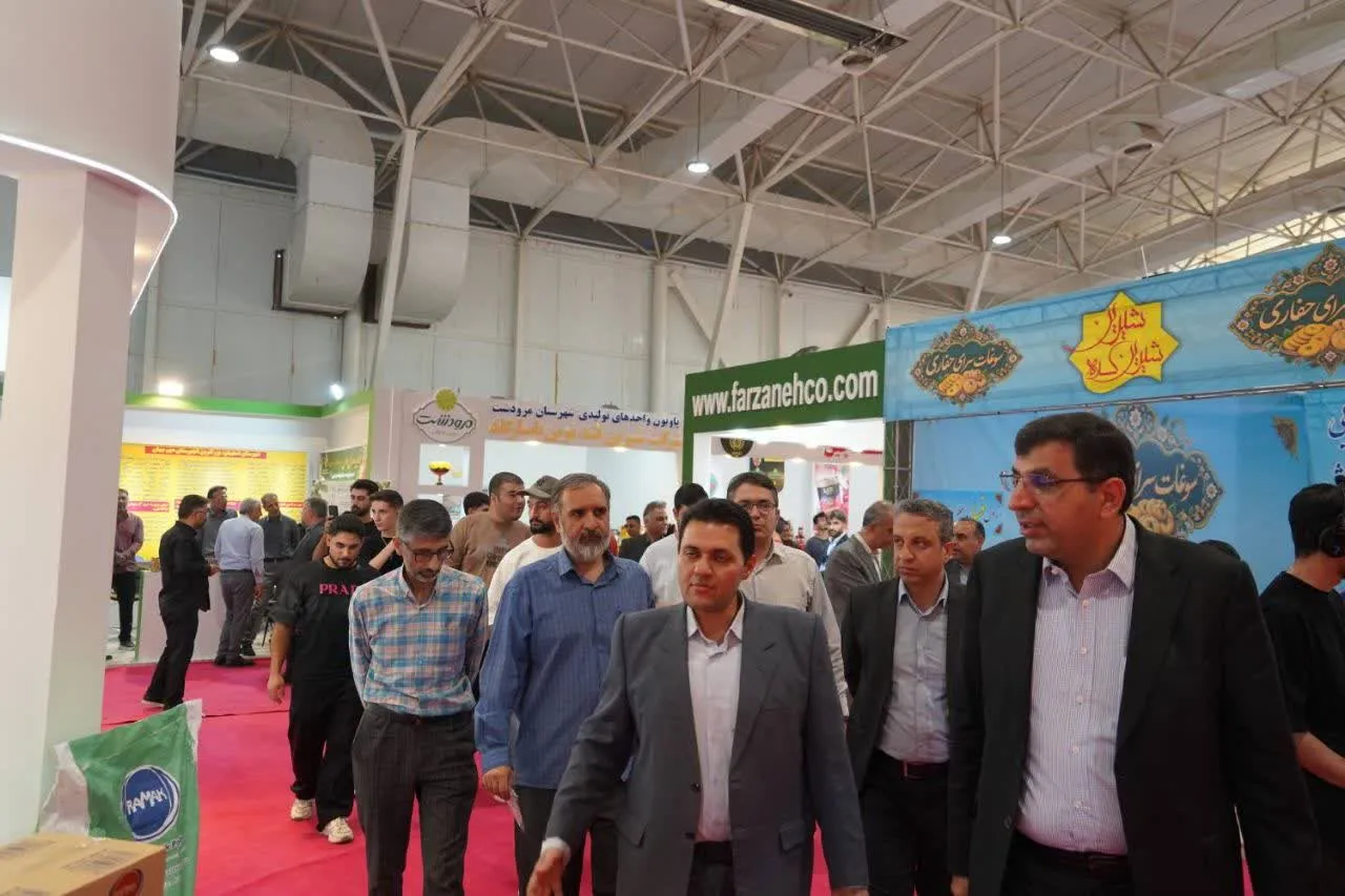 قائدی