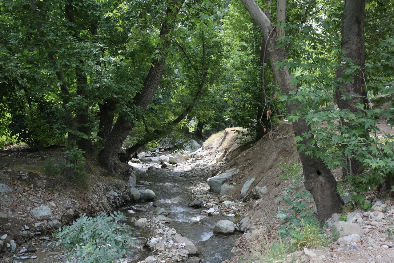 رود دره