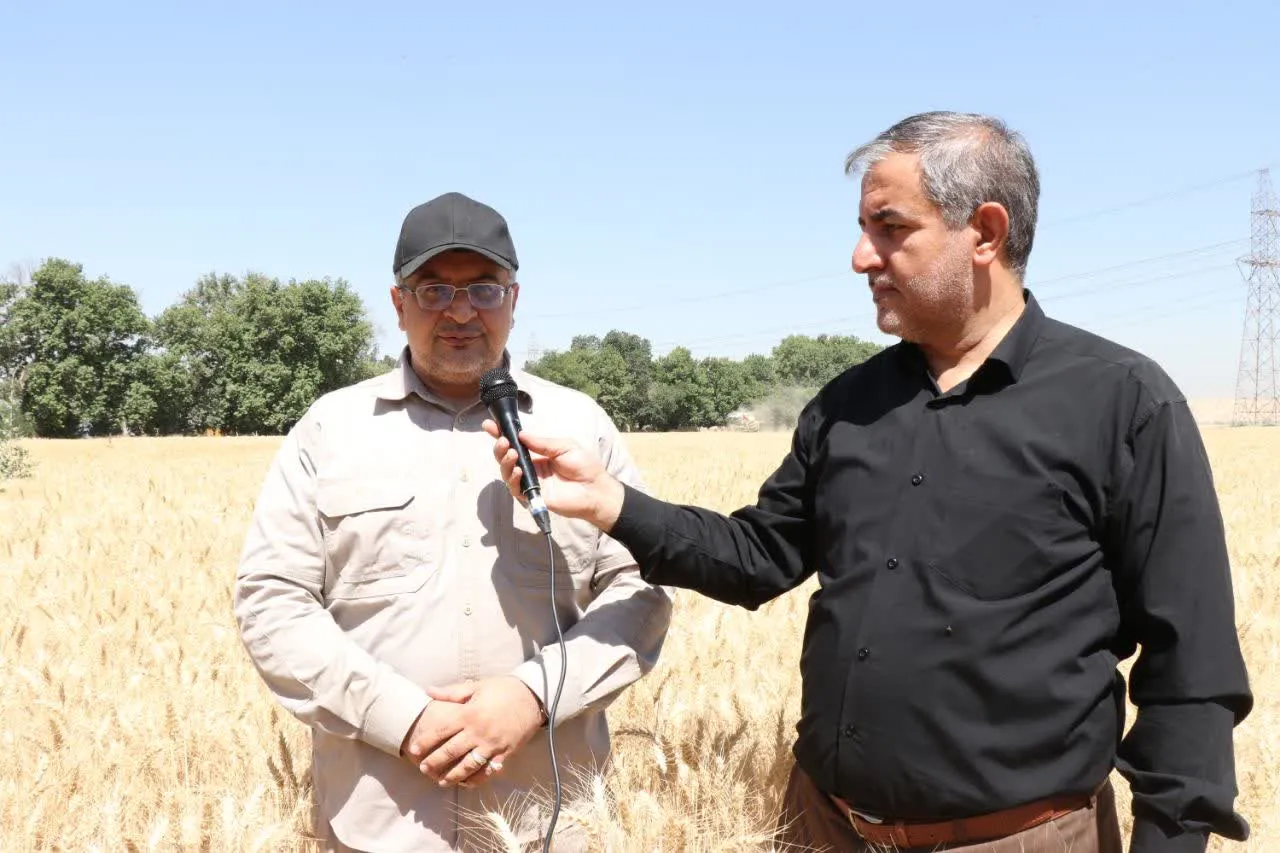 علیرضا عراقیه دانشگاه آزاد اسلامشهر