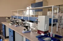 چگونه انگیزه پژوهشگران را در فعالیت‌های پژوهشی افزایش دهیم؟