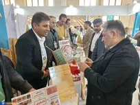 سنسوری که سارقان را شناسایی می‌کند