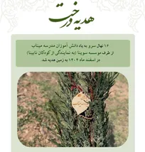 کاشت درخت به یاد بچه‌های مدرسه شهر میناب توسط سوینا