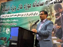 افتتاح اولین سامانه هوشمند سازی موزه‌ها ویژه نابینایان
