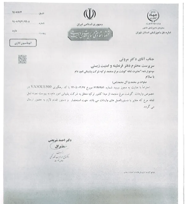 مرغ