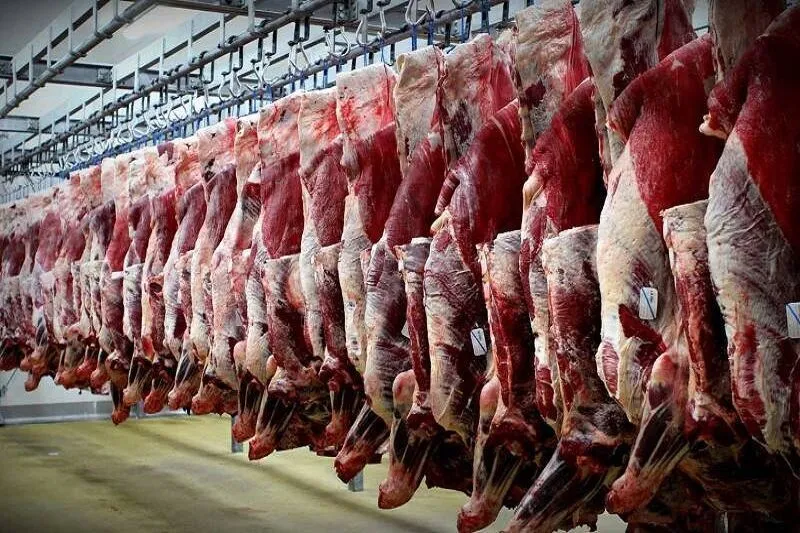 گوشت