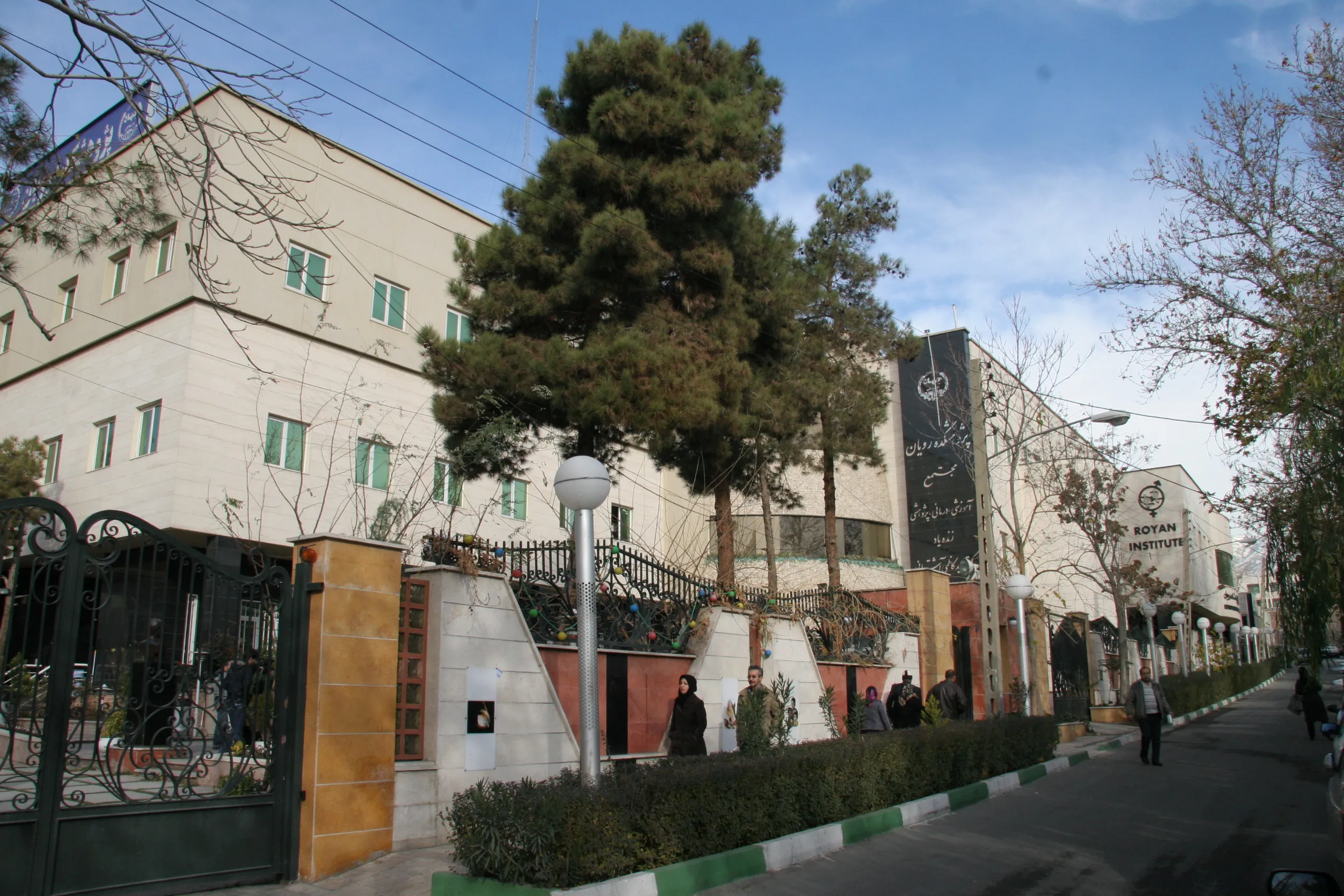 رویان