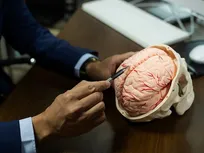 Iran develops lab-grown artificial brain using human neurons