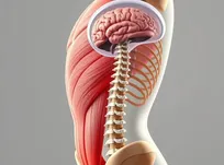 حرکت بدن چگونه به پاکسازی مغز کمک می‌کند
