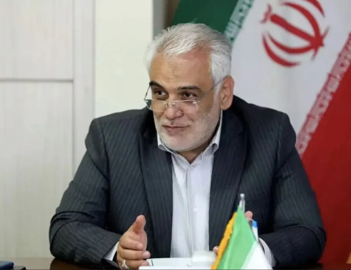 طهرانچی: هوش مصنوعی یک فرصت است اما باید سواد استفاده از آن را افزایش داد