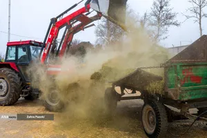 خودکفایی در تولید شیر