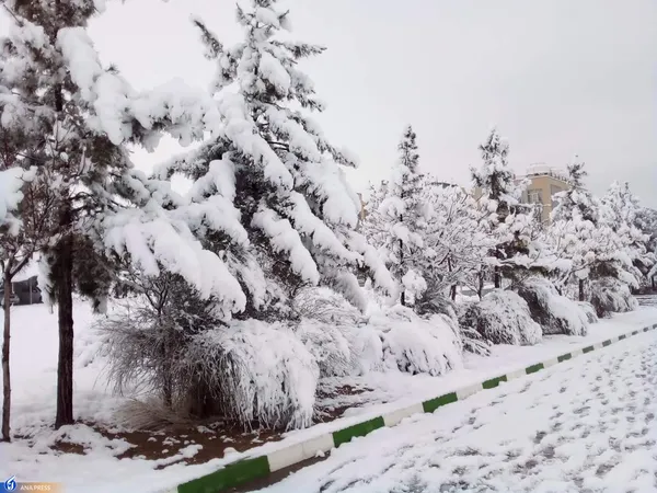 دانشگاه آزاد اسلامی واحد قم در یک روز برفی