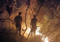 مهار-آتش-سوزی-۲-هکتار-از-جنگل‌های-گیلان