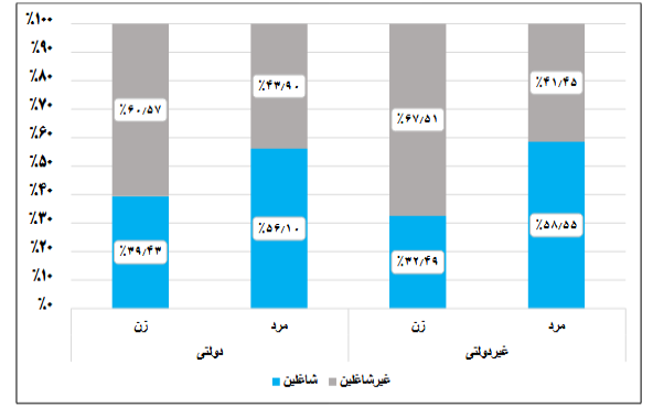 نرخ اشتغال مردان ۱.۷ برابر زنان در هر دو بخش دولتی و غیردولتی