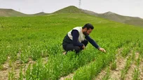 افتتاح ۱۰۶۳ طرح آب و خاک در هفته جهاد کشاورزی