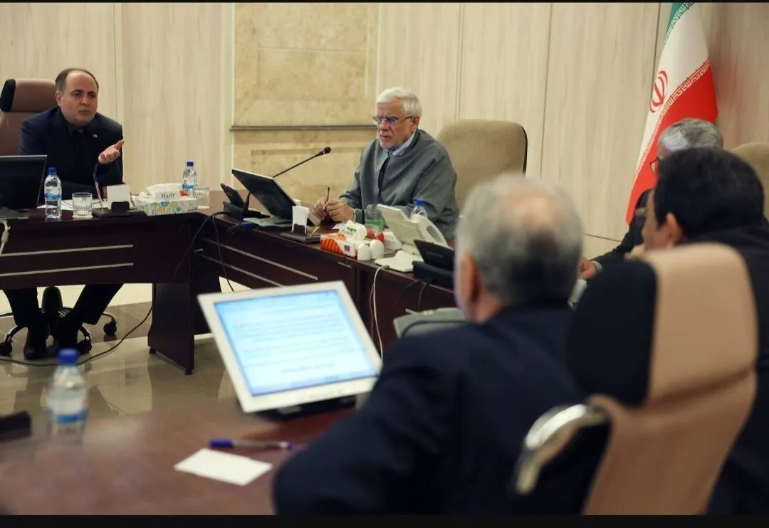 محمدرضا عارف
معاون اول رئیس جمهور
هیأت وزیران