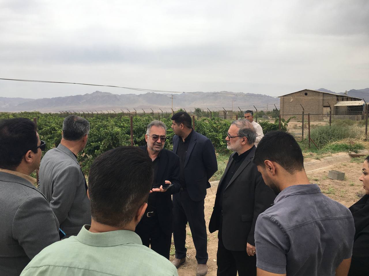 بازدید