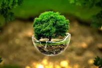 ضربه ۷۰۰ مگاواتی به خاموشی؛ بازار بهینه‌سازی انرژی تا ۱۴۰۶ خودگردان می‌شود