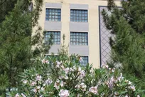 استادان دانشگاه آزاد قم در فهرست دانشمندان برتر جهان