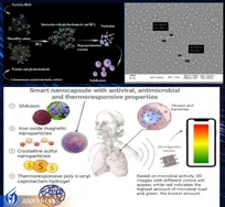 ساخت نانوداروی هوشمند با قابلیت ردیابی و مانیتورینگ هدفمند