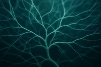 آینده التیام زخم با بانداژ‌های زنده از قارچ