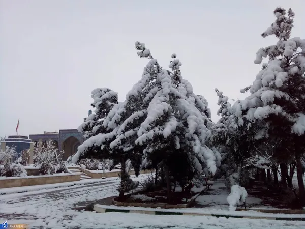 دانشگاه آزاد اسلامی واحد قم در یک روز برفی