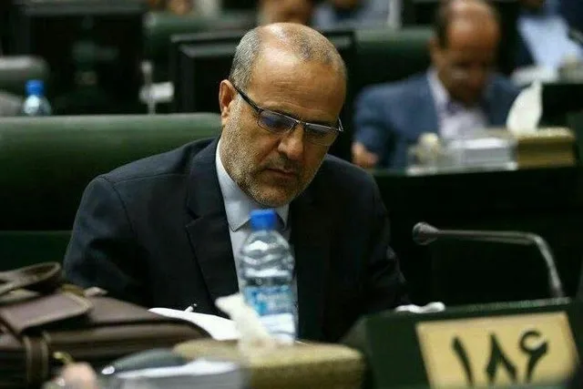 حمایت میرزاده