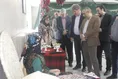 جشنواره سرزمین من