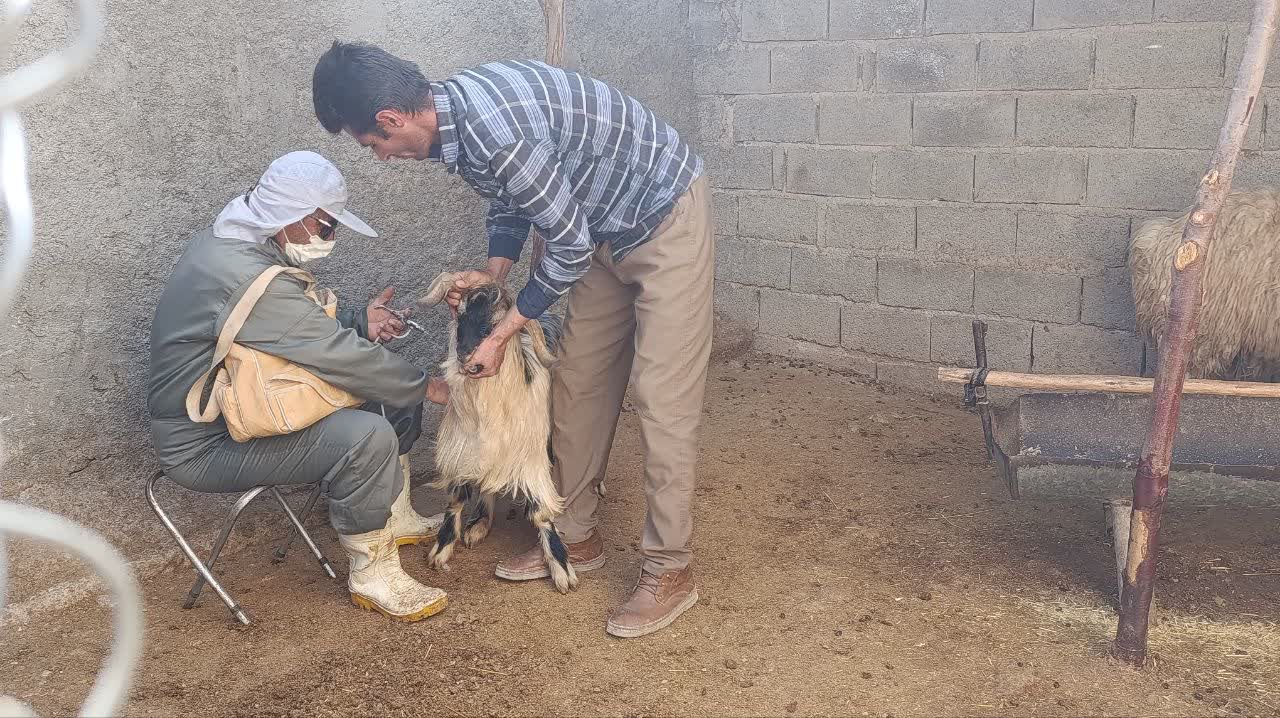 وقتی جهادگران داراب کنار عشایر رکن‌آباد ایستادند