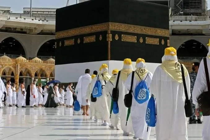 دانشگاهیان