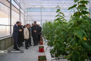 افتتاح سرای نوآوری کشاورزی واحد علوم و تحقیقات با حضور دکتر رنجبر رئیس دانشگاه آزاد اسلامی