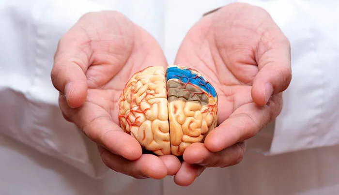 بیماری آلزایمر