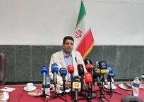 بیگدلی: نیازی به رأی جدید مجلس برای تعیین تکلیف نیروهای شرکتی نیست/ توقف طرح در مجمع تشخیص