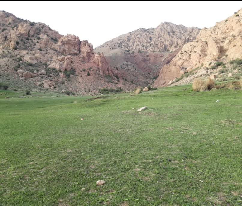روستای گوجی؛ نگین پنهان بوم‌گردی در آغوش کوه سرهنگ خراسان