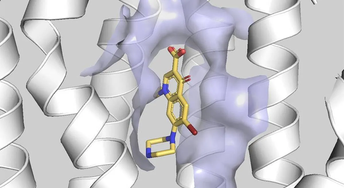 New Discovery May Unlock Future of Infectious Disease, Cancer Treatment