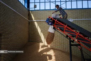 تولید برای محرومیت زدایی - باغ پسته