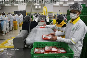 آغاز واردات ریلی مواد اولیه داروی دامپزشکی از چین 